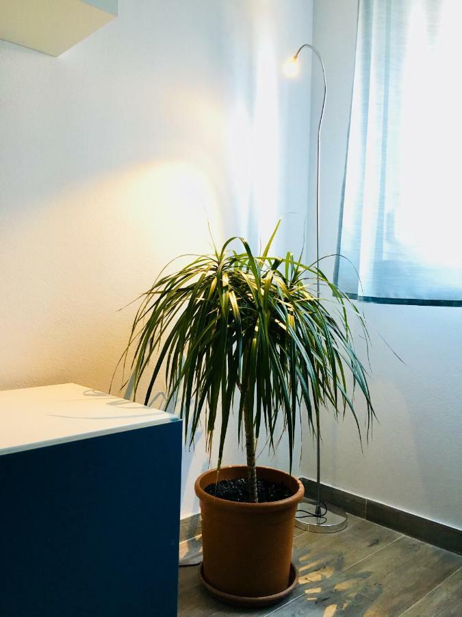 Appartement Fine & Shine à Pula Extérieur photo